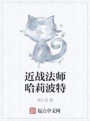 近战法师哈莉波特封面