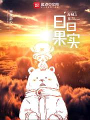 海贼之日日果实封面
