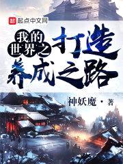 我的世界之打造养成之路封面