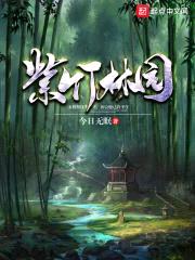 紫竹林园封面