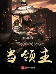 穿越游戏当领主封面