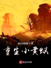 重生小黄蚁封面