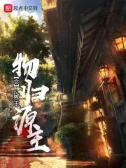 物归源主封面