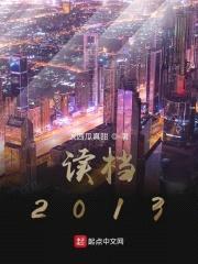 读档2013封面