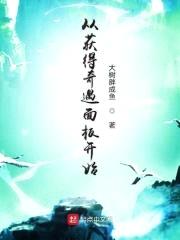 从获得奇遇面板开始封面