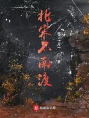 北宋不南渡封面