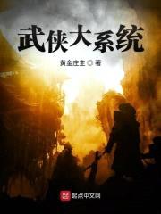 武侠大系统封面