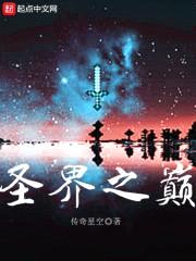 圣界之巅封面