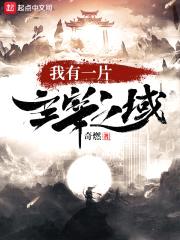 我有一片主宰之域封面