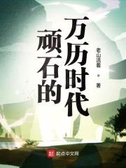 顽石的万历时代封面