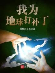 我为地球打补丁封面