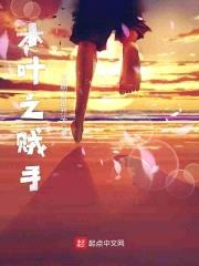木叶之贼手封面