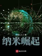 纳米崛起封面