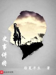 史事讲将封面
