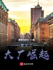 重生之大厂崛起封面