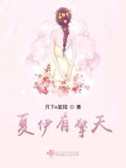 夏伊有擎天封面
