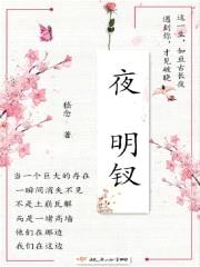 夜明钗封面