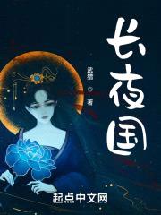 长夜国封面