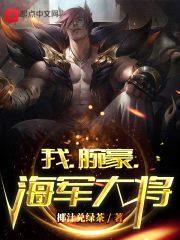 我，腕豪，海军大将封面