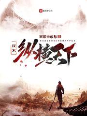 汉末纵横天下封面