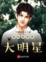 我的老师是大明星封面