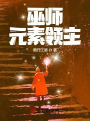 巫师：元素领主封面
