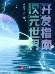 次元世界开发指南封面