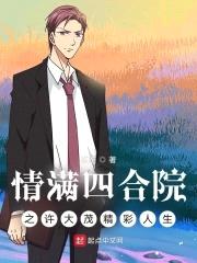 情满四合院之许大茂精彩人生封面