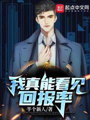 我真能看见回报率封面