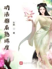 功法都有熟练度封面