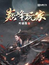 巅峰玩家封面