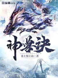 神兽诀封面
