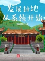发展封地从系统开始封面
