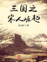 三国之宋人崛起封面
