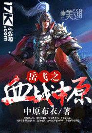岳飞之血战中原封面