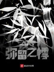 弥留之悸封面