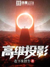 高维投影封面