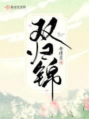 双归锦封面