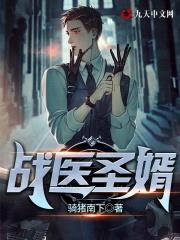 战医圣婿封面