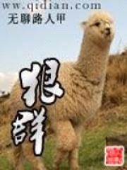 狠群封面