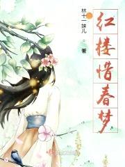 红楼惜春梦封面