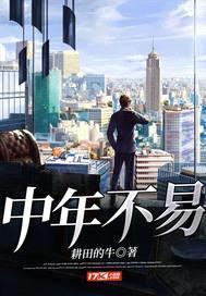 中年不易封面