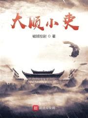 大顺小吏封面