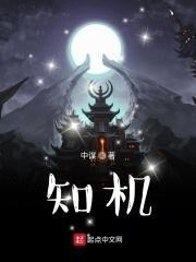 知机封面