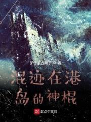 港岛求生日记封面