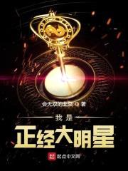 我是正经大明星封面