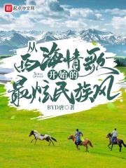 从西海情歌开始的最炫民族风封面