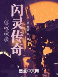 灵魂武装：闪灵传奇封面