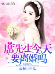 天价少夫人：第101次离婚封面
