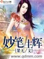 妙笔生辉封面